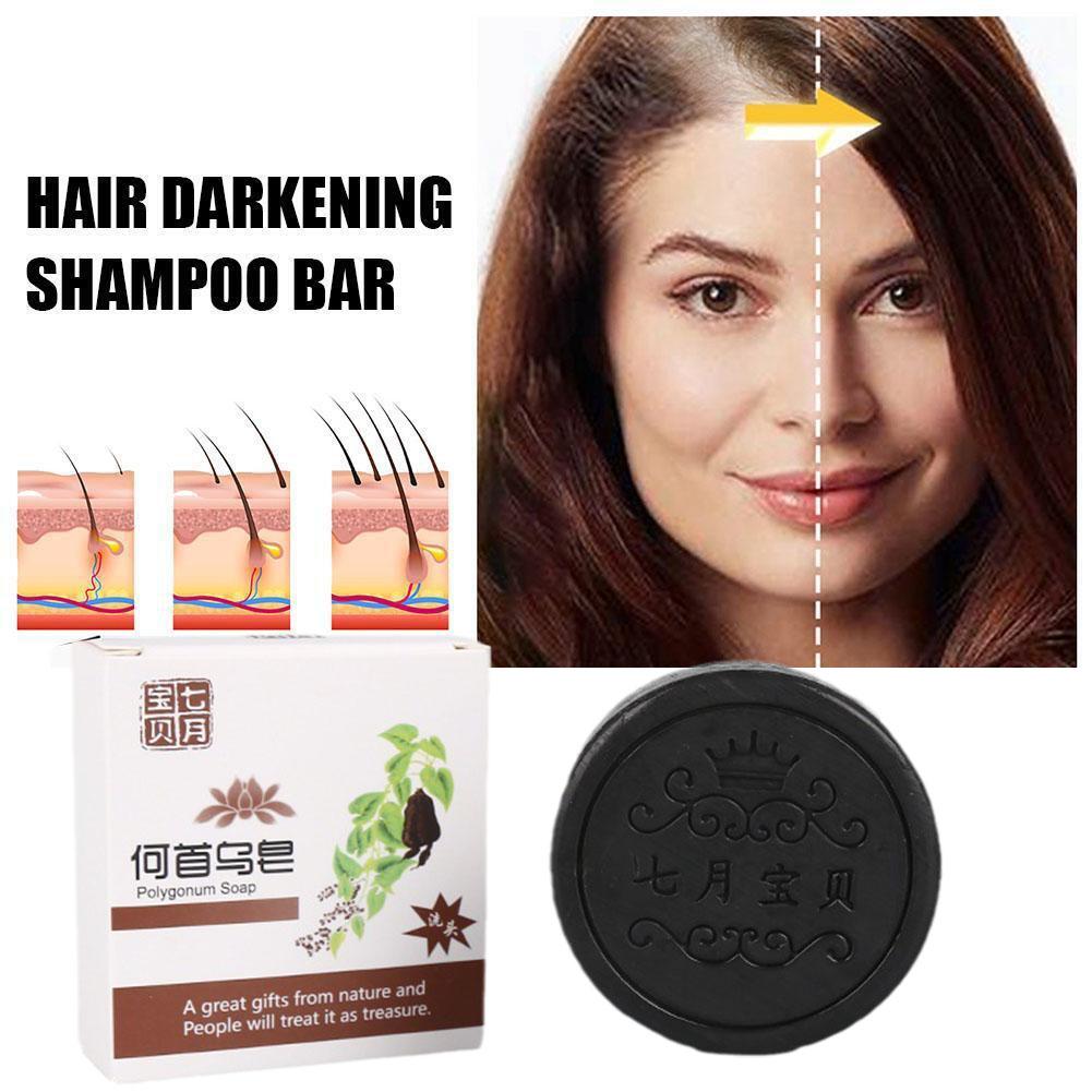 PurelyPosh™Polygonum Shampoo Bar