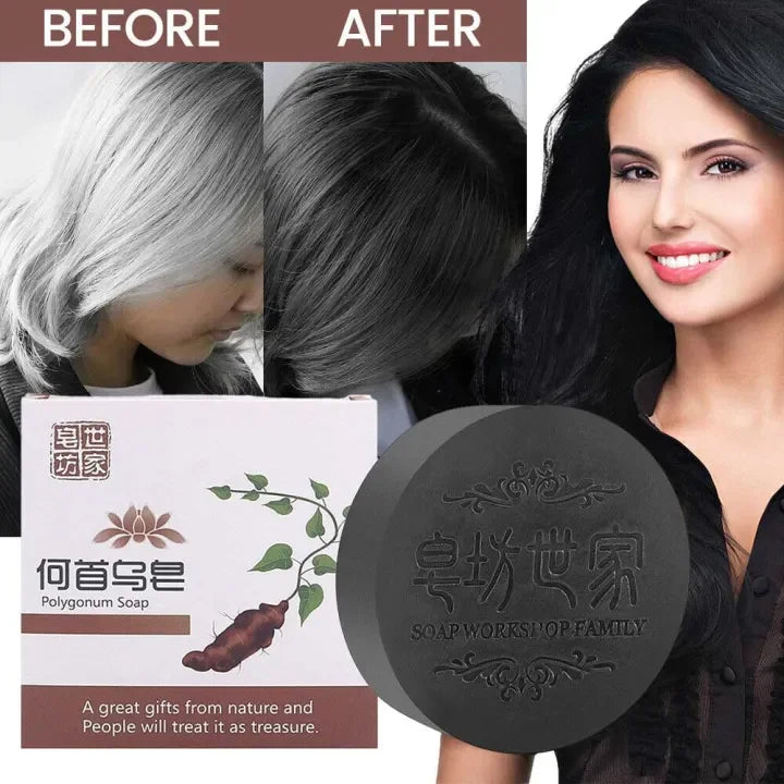 PurelyPosh™Polygonum Shampoo Bar